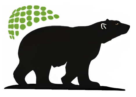 Black Bear ELD logo