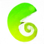 Chameleon Innovation Technology logo