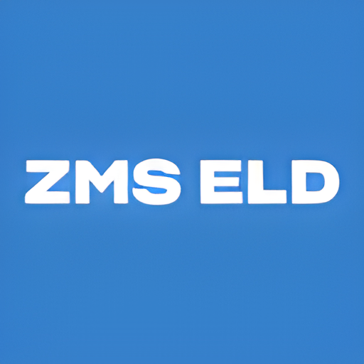 ZNS LLC logo